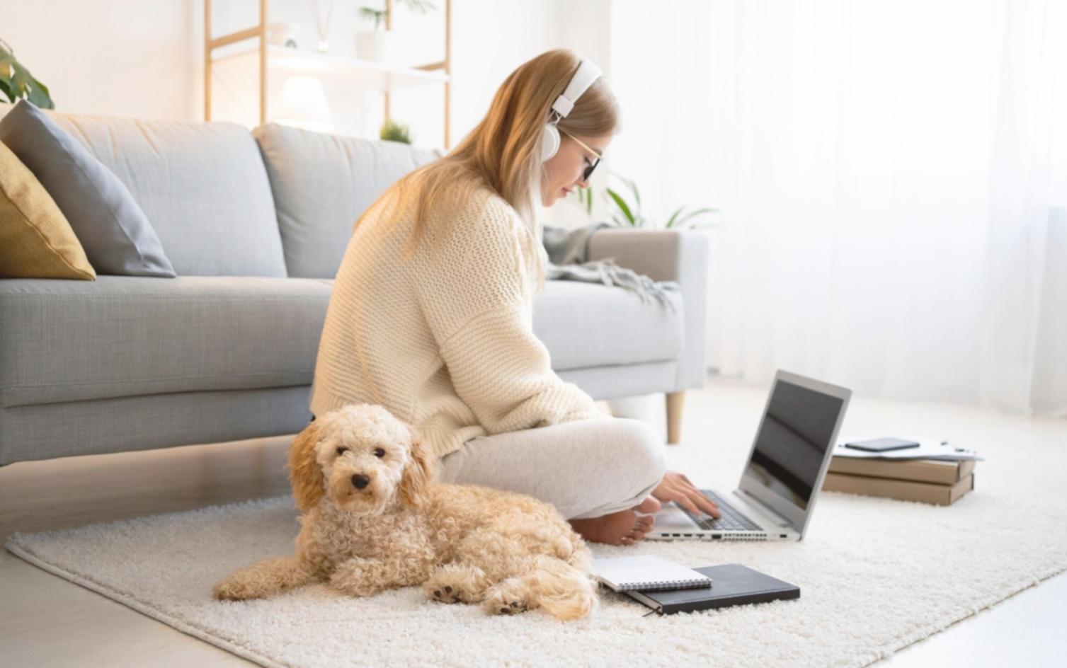 Teamarbeit bei der Budgetplanung